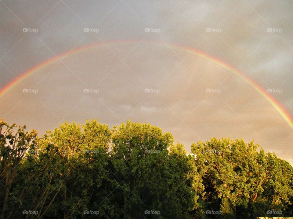 Rainbow