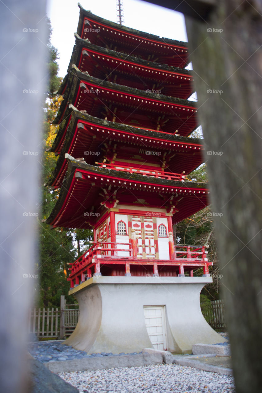 THE JAPANESE GARDEN AT THE GOLDEN GATE PARK SAN FRANCISCO CALIFORNIA USA