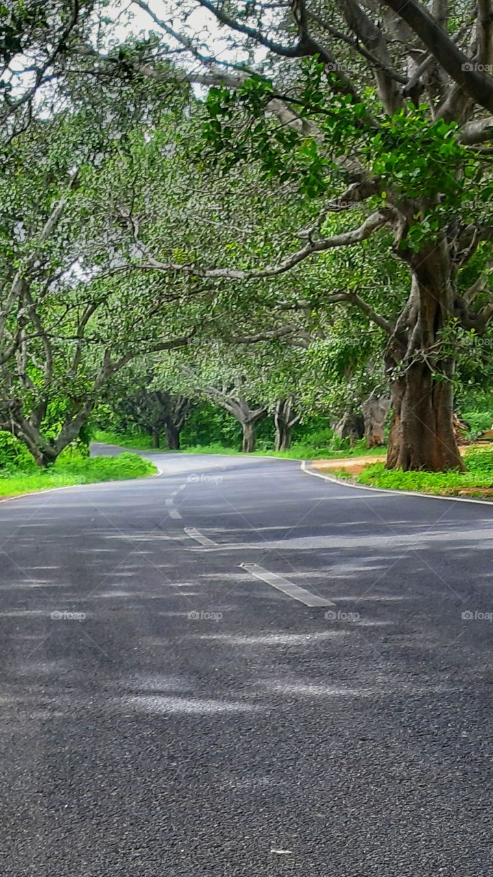 peaceful roads always teaches good lessons to us