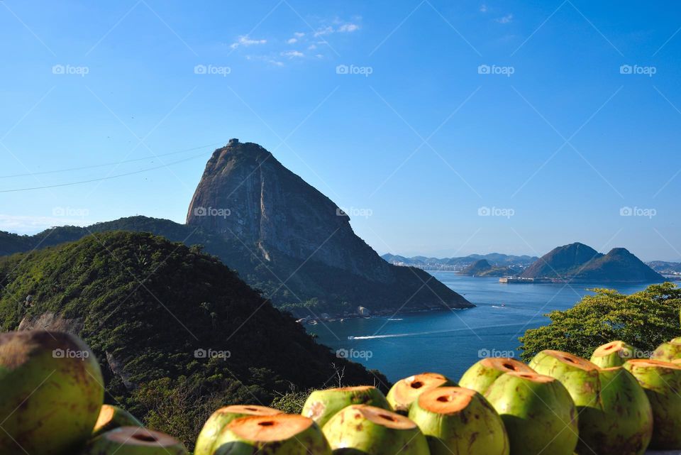 Tropical View of the Sugarloaf Mountain - Rio de Janeiro