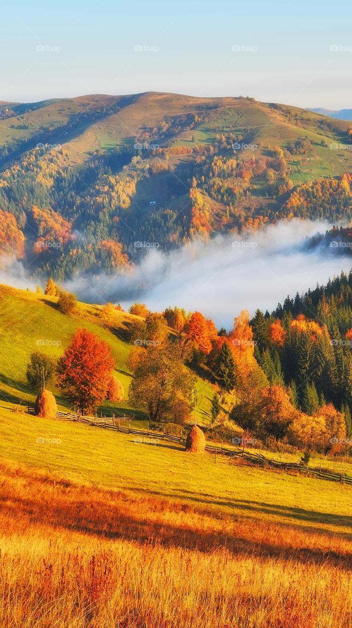 autumn in mountain's