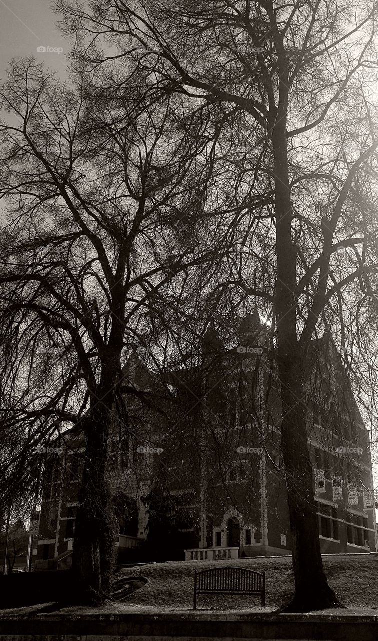 As The Willows Weep,
To Dust We Return 🌬