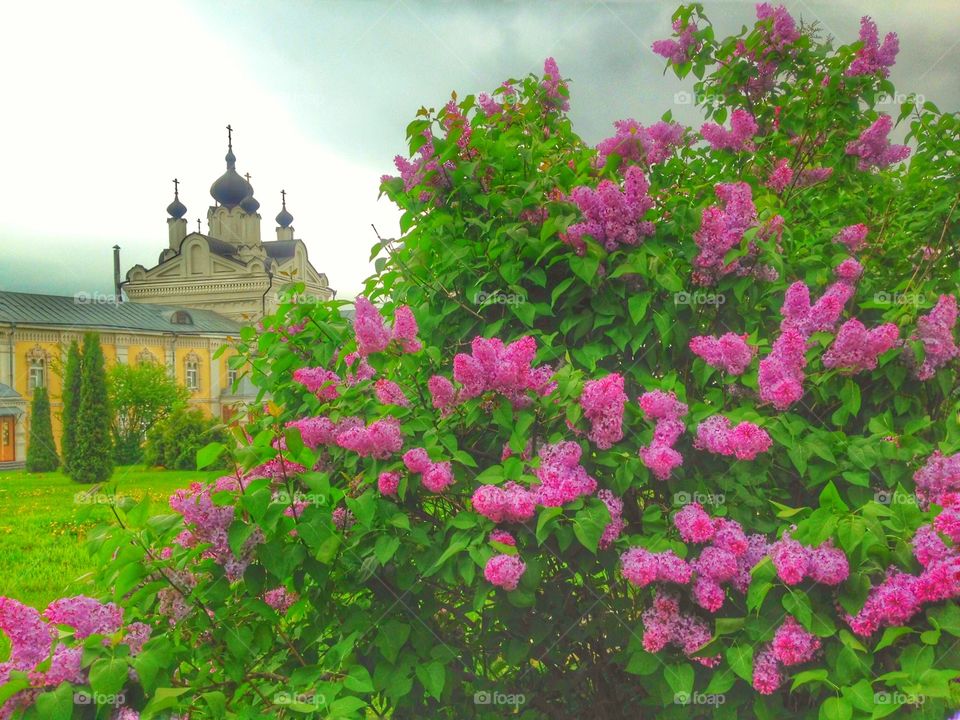 Church in the garden 