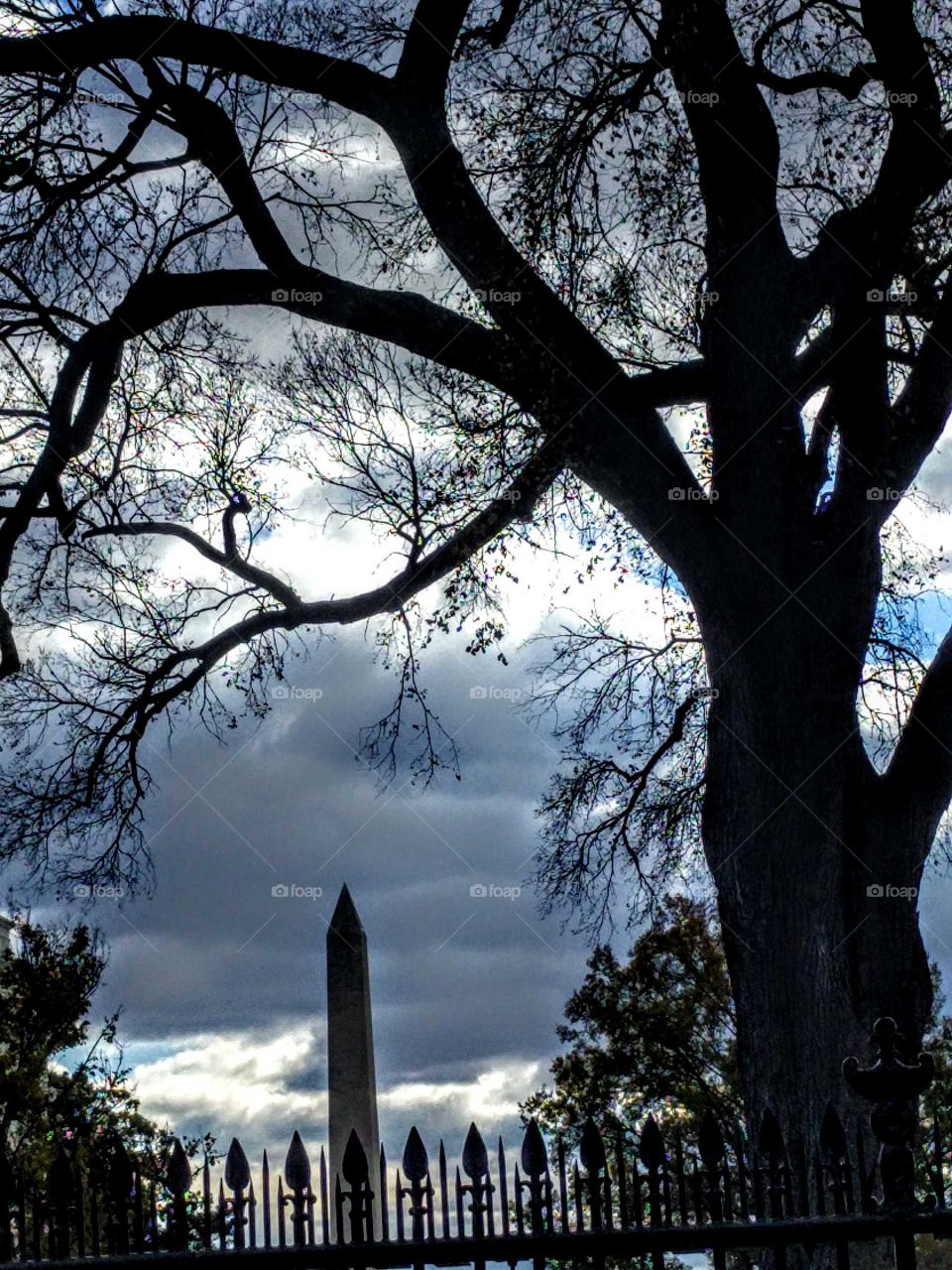 Pic of Washington Monument from The White house