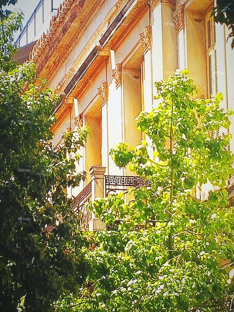 balcony behind the trees