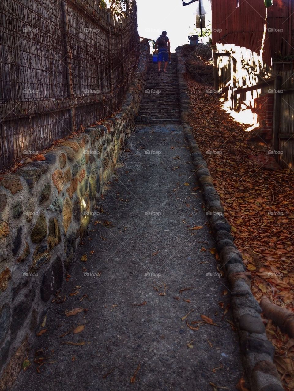 Path to the beach 