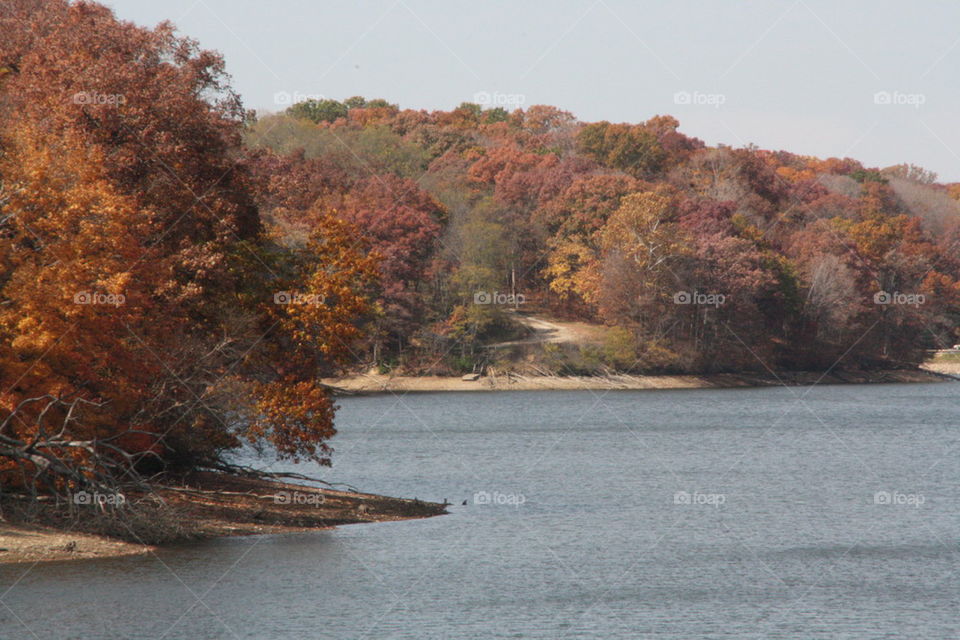 shoreline in fall