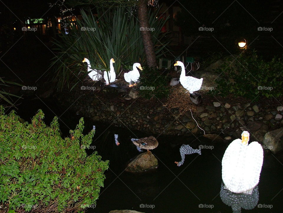 Christmas decorations 