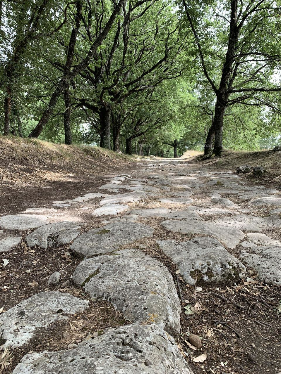 the ancient Roman Via Flaminia in the stretch that crosses the ruins of Carsulae