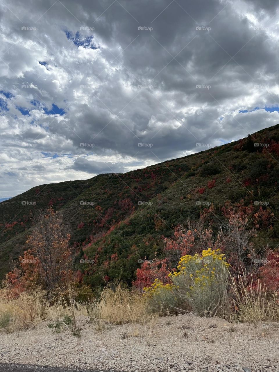 Beautiful fall colors 