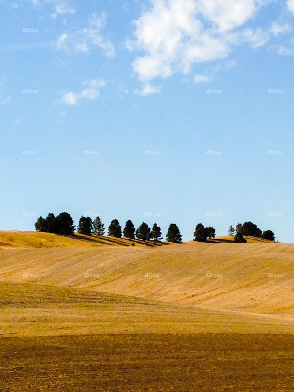 Landscape, Agriculture, Farm, Field, Sky