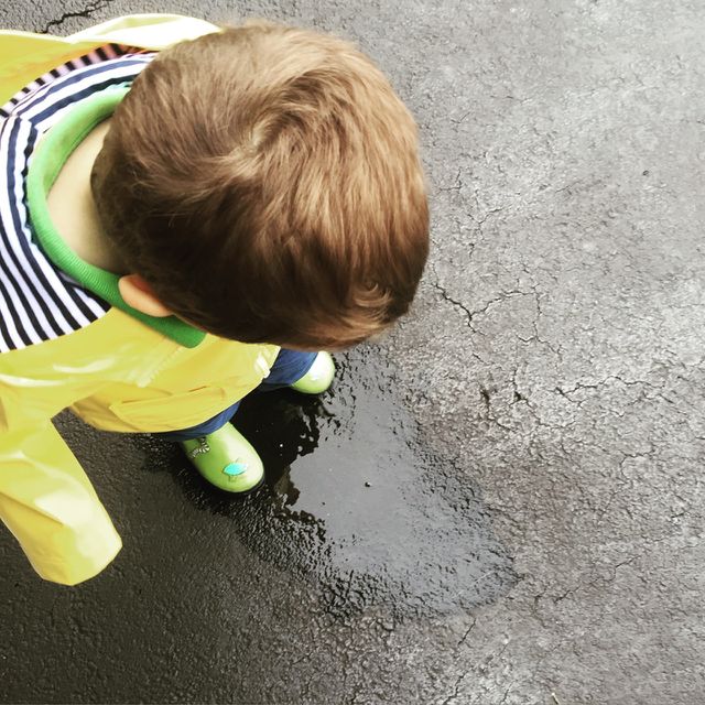 Rain Puddle