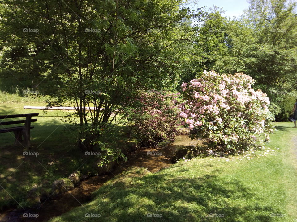 Medieval village in Bad Wildbad