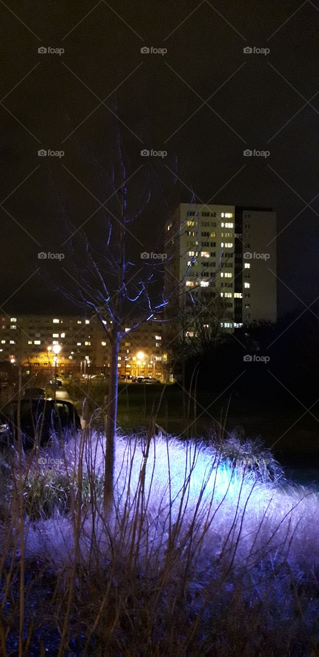 Mons en baroeul de nuit