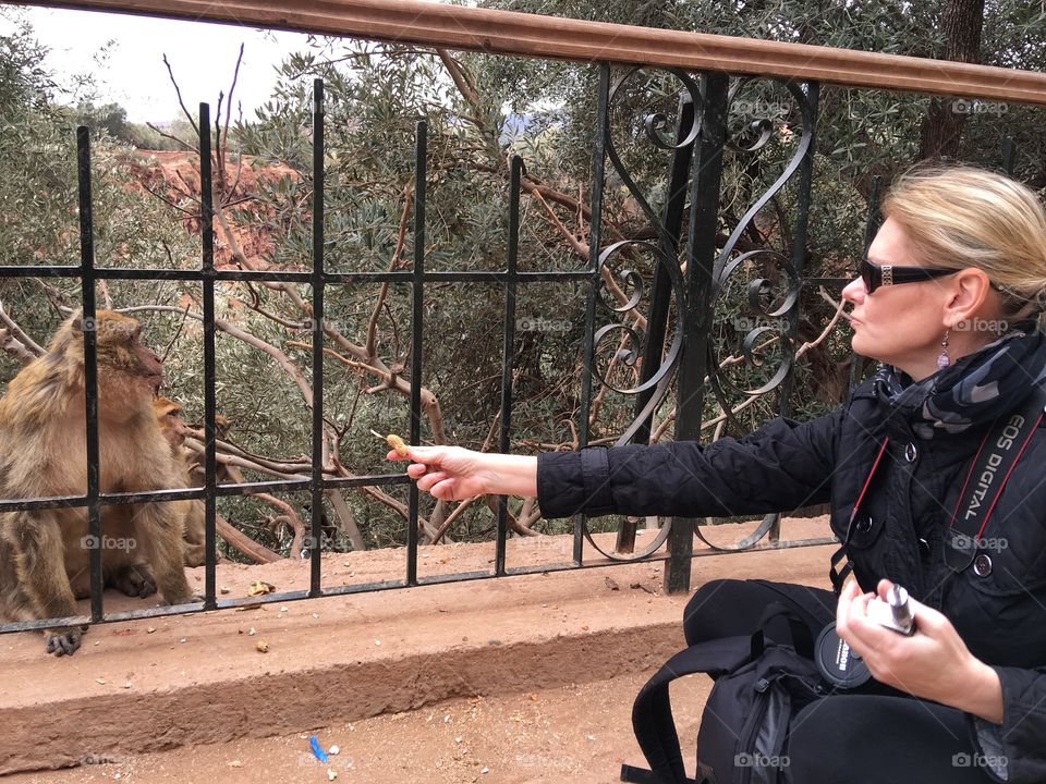 Feeding monkey 