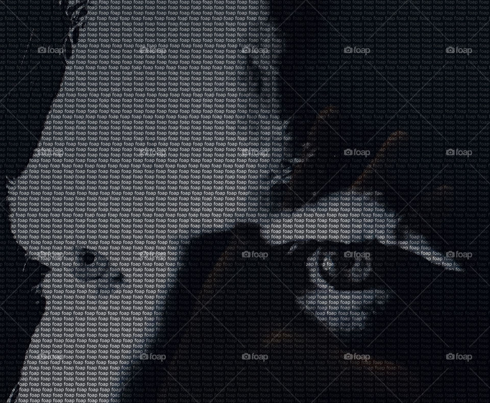 Selfie of my eyes side-lit by bright spotlight with a reflection of my hand covering my left eye. The photo is overlaid with the name foap repeated over the entire surface.