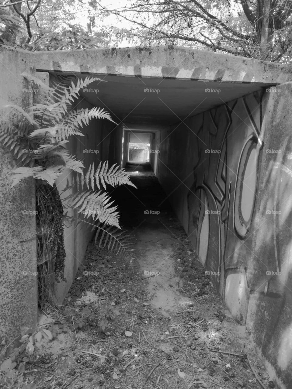 bunker