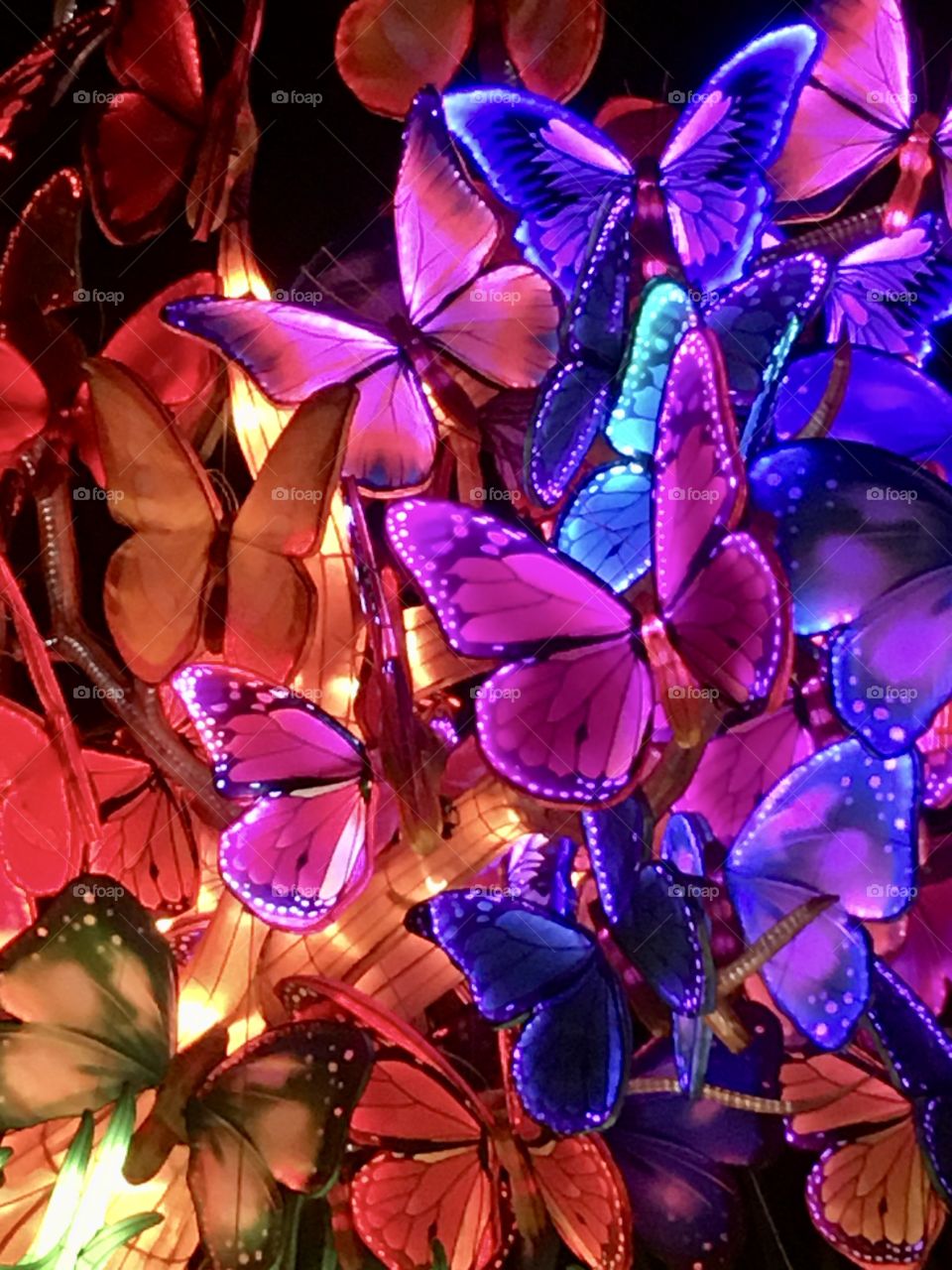 Beautiful, bright colored, lighted butterflies