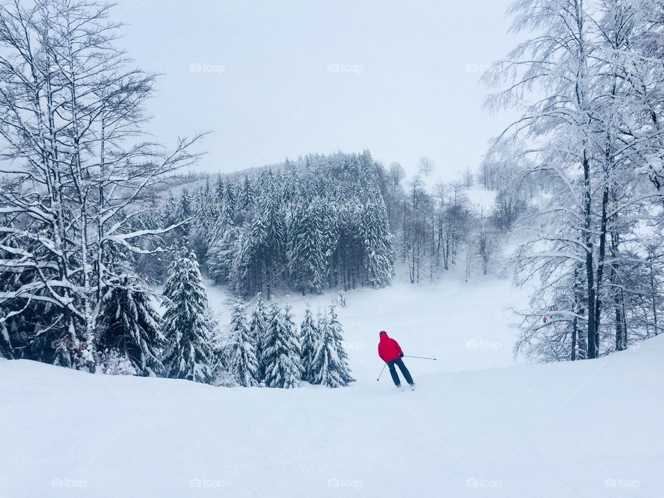 Skier in red ski costume on the ski slope surrounded by snowy forest