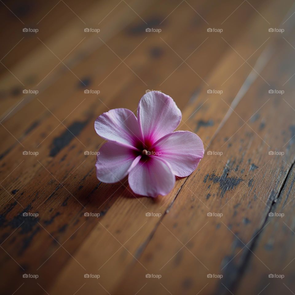 pink flower on wooden board