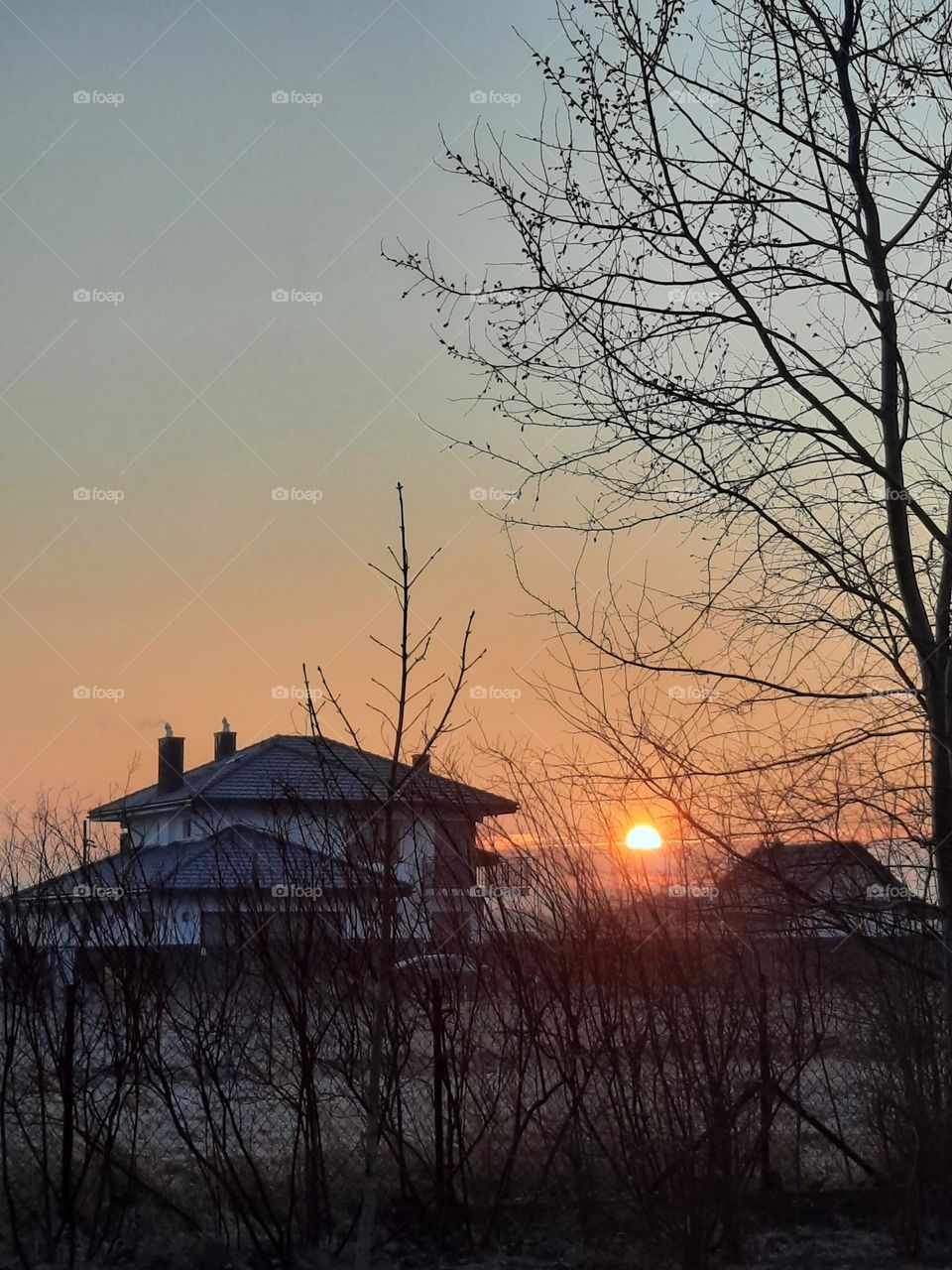 photo of the week - sunrise in winter