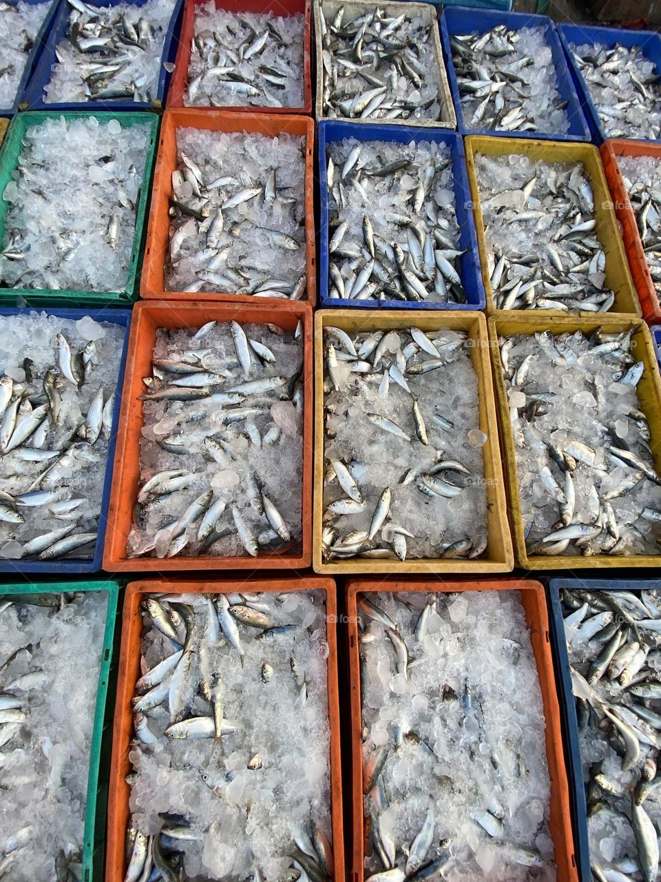 Fish boxes, looks like patterns.