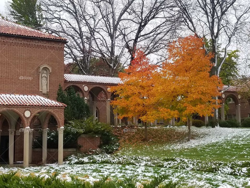 Beautiful fall colors next to bright green grass and snow. on a college campus