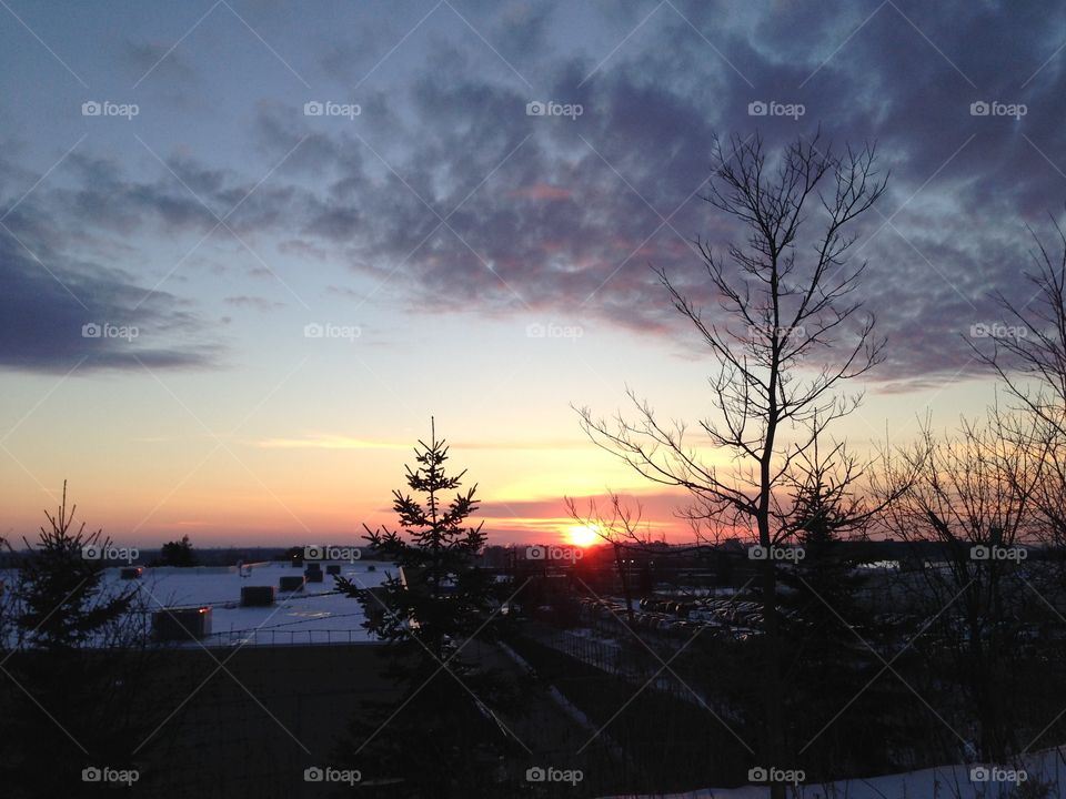 Winter sunset

