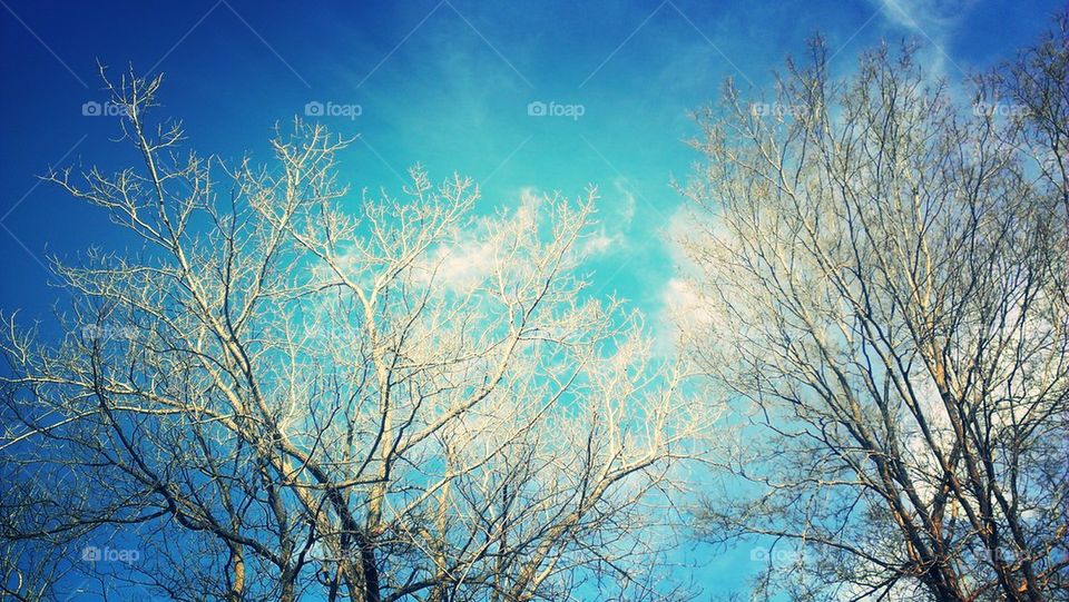 View From My Hammock