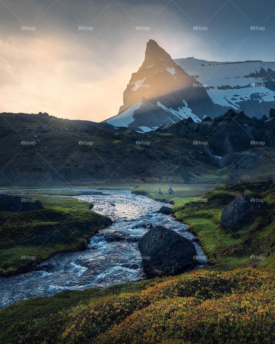 Iceland