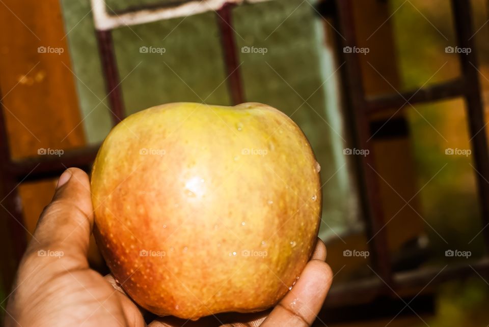 holding food 