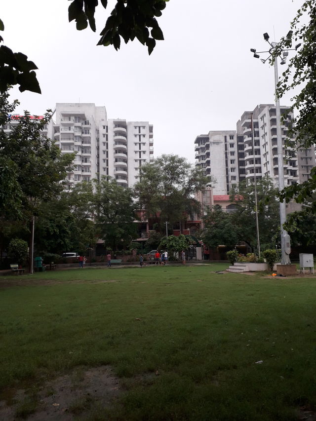 park