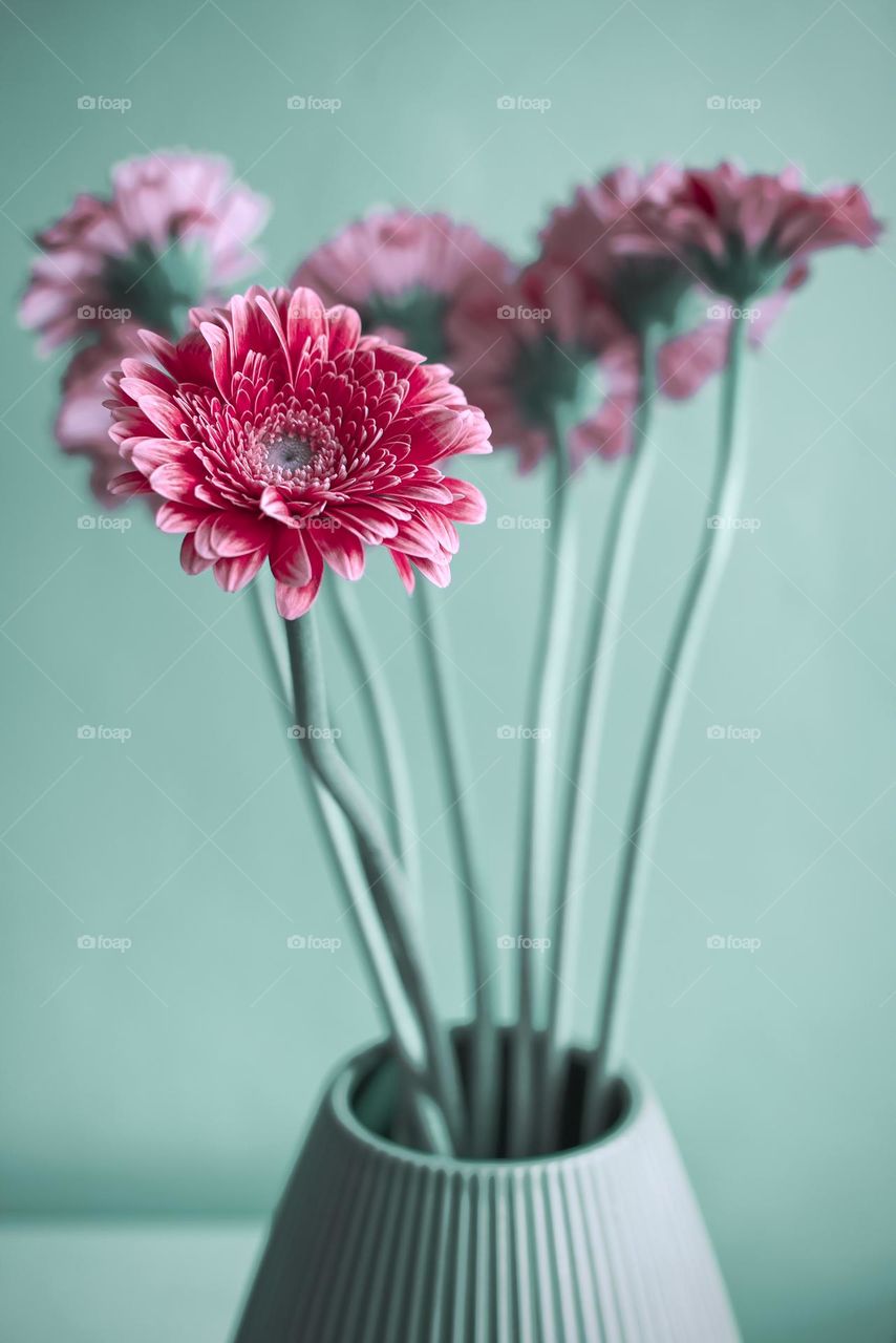 Closeup shot of flowers in vase