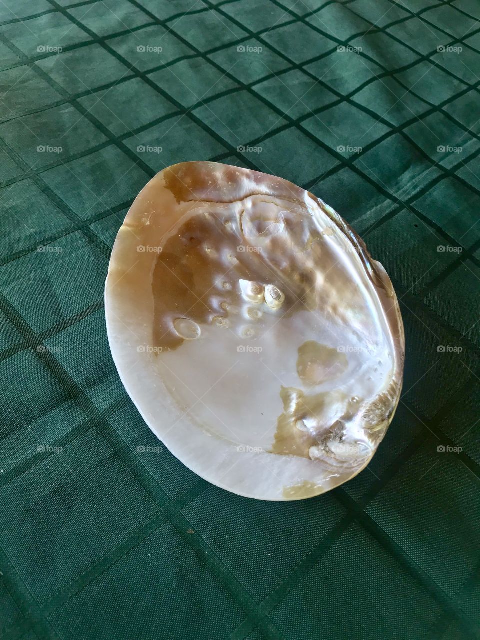 Seashell with pearls.
