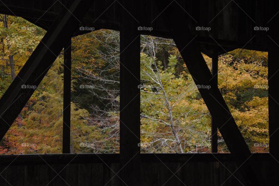Fall foliage through the windows of the covered bridge