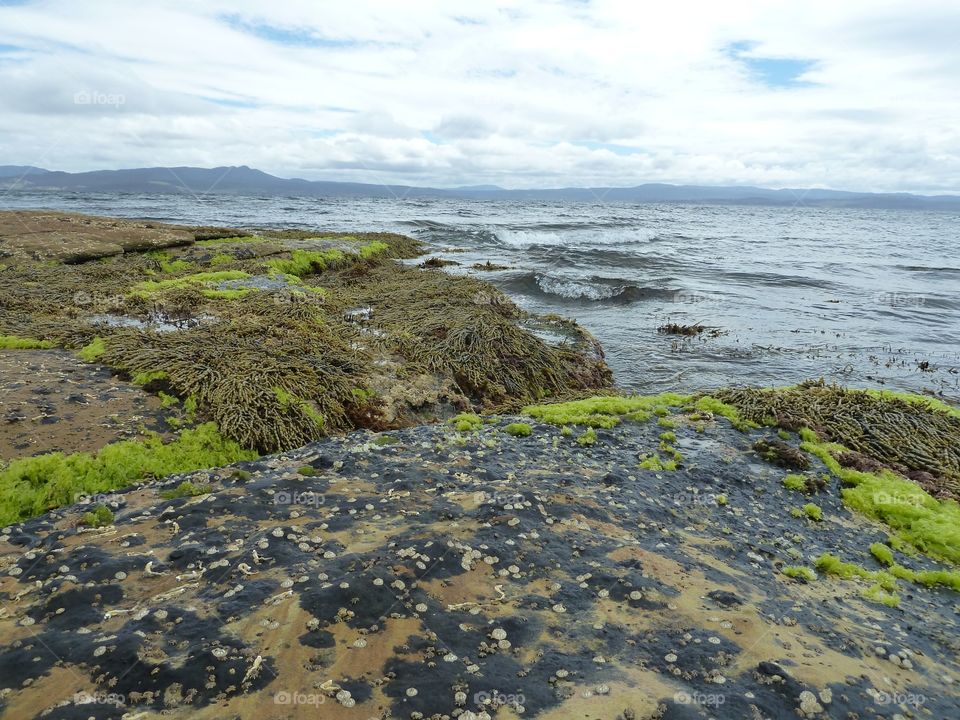 Beautiful tasmania 