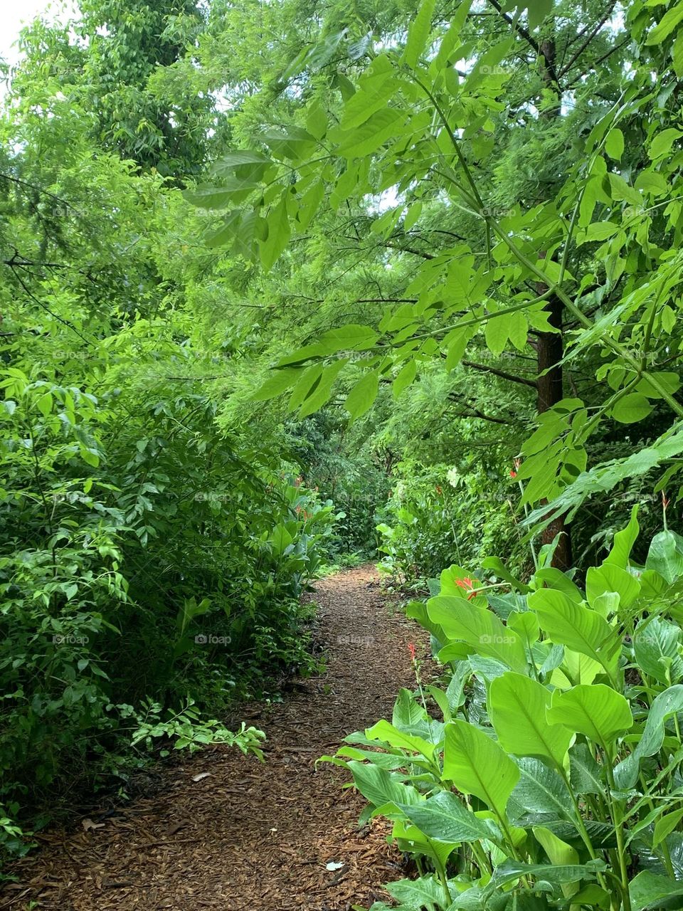 Let’s go down the nature trail! What do you think we will find along our way? Hopefully all kinds of nature!