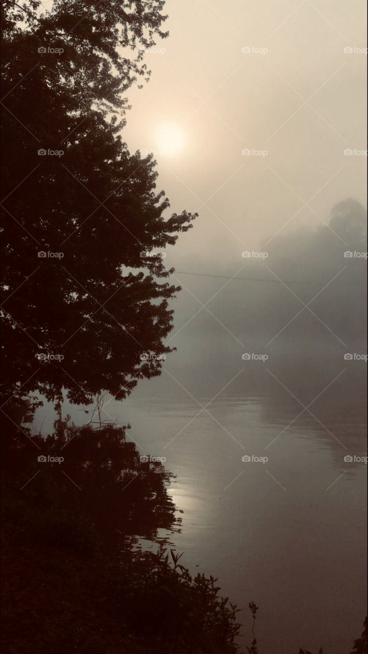 Fog over the river at dawn