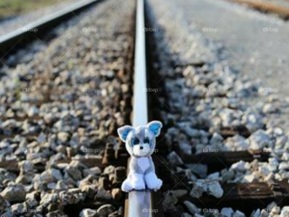 petite dolls 
on railroads, rocks, rails, dolls, cute,