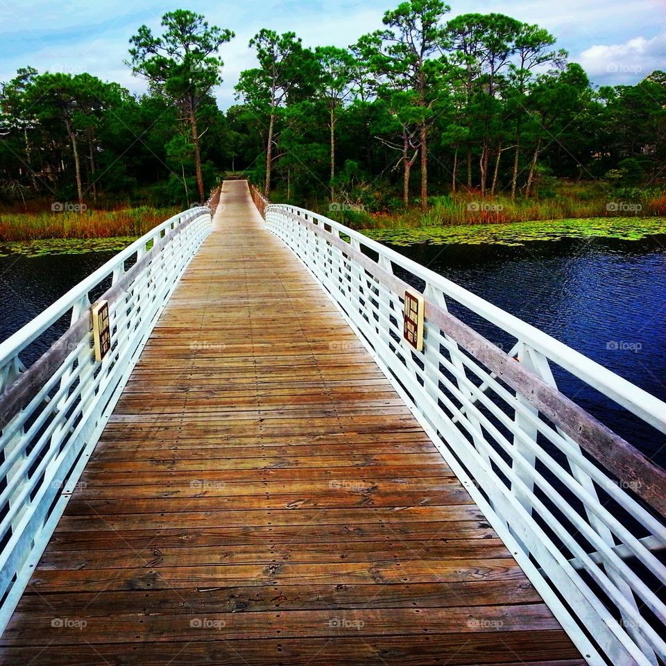 wooden Bridge 
