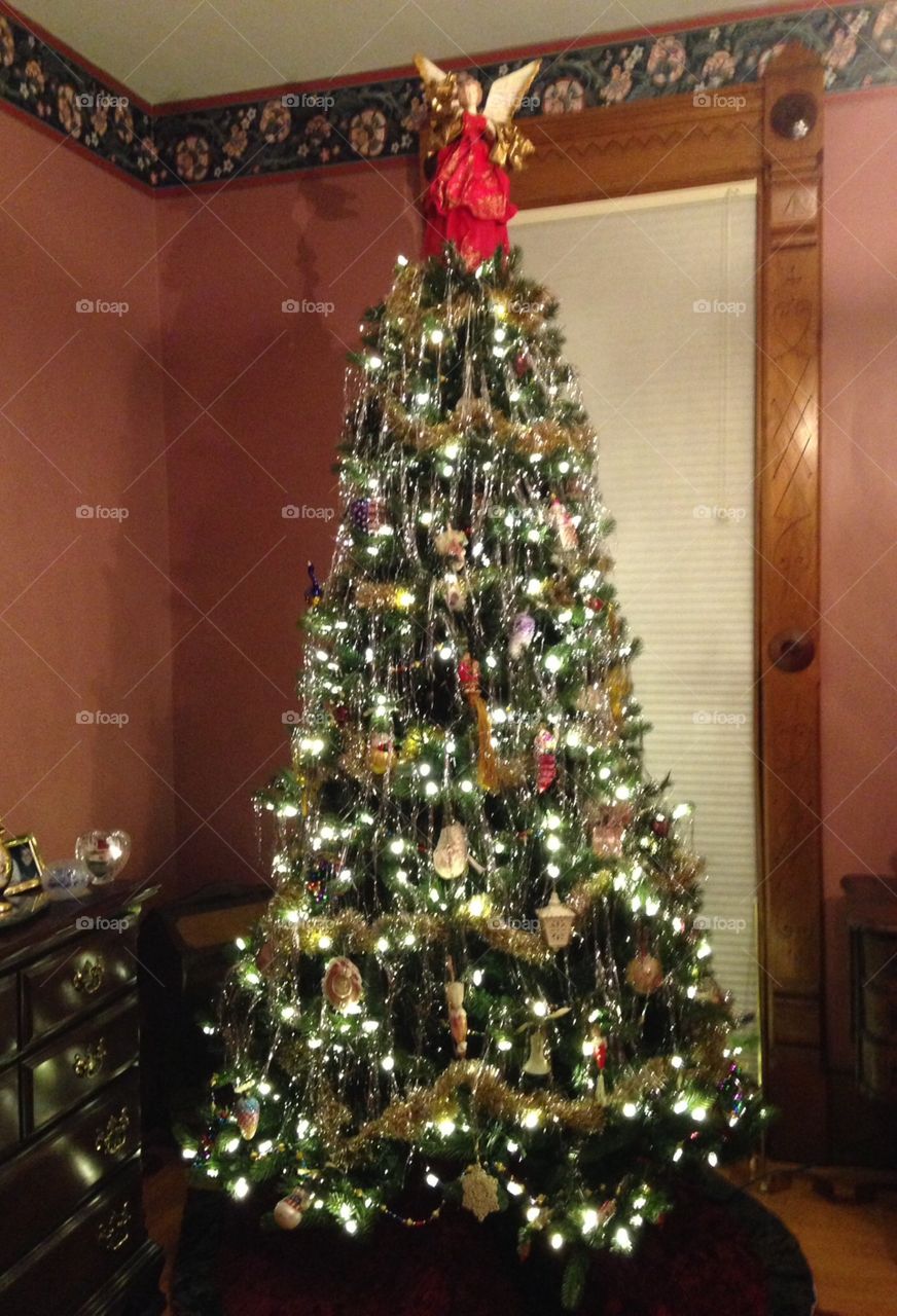 Victorian Christmas Tree, Medina, Ohio