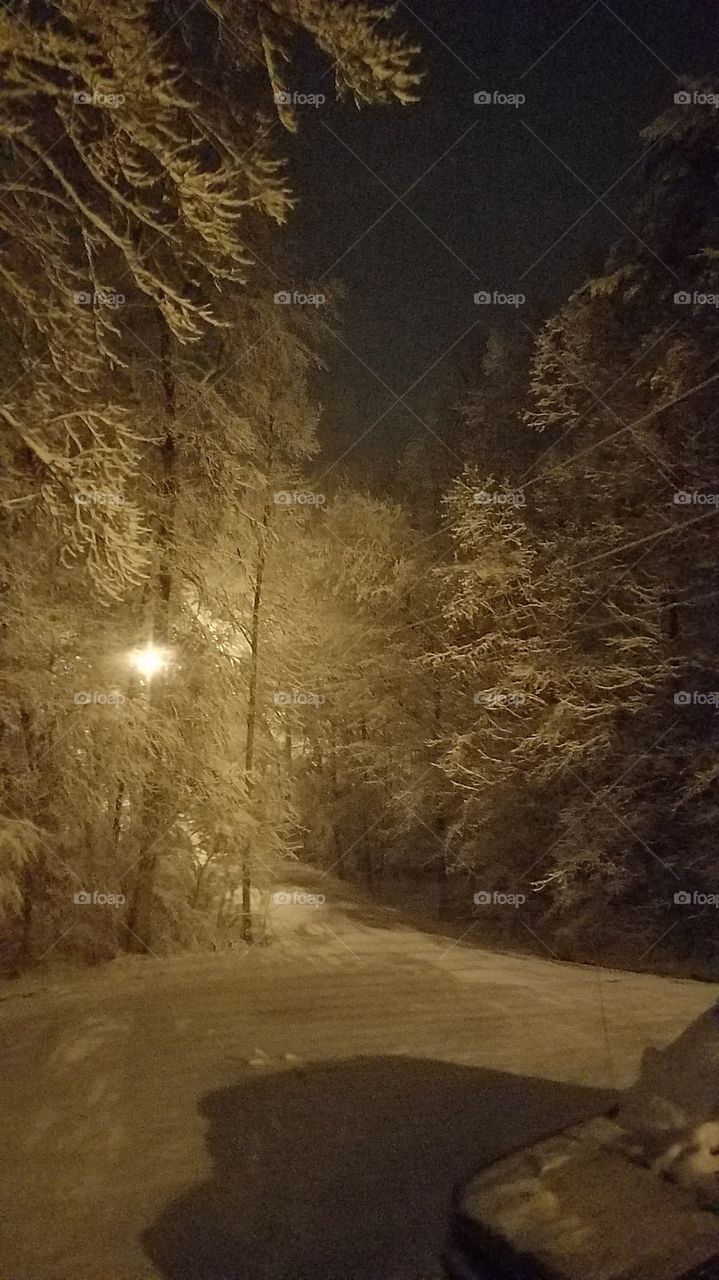 snow in South Carolina