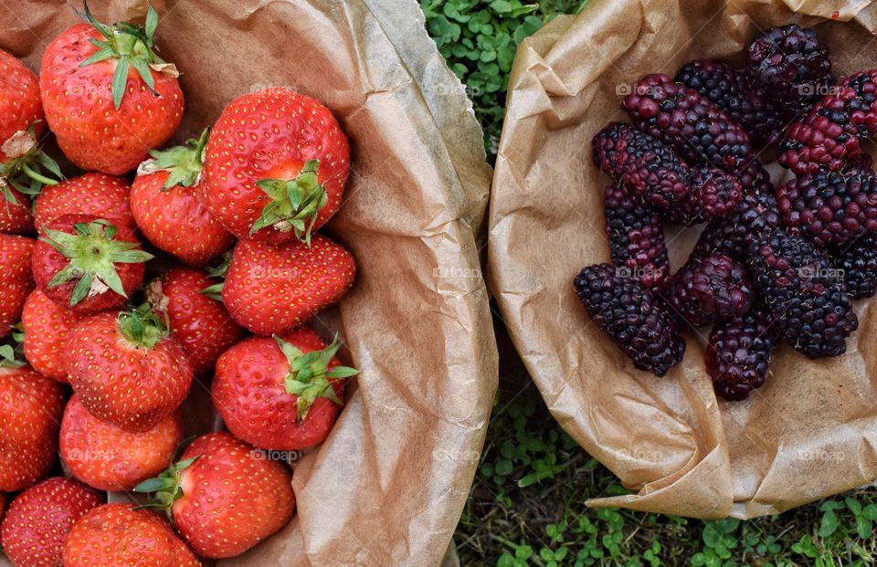 Berries 