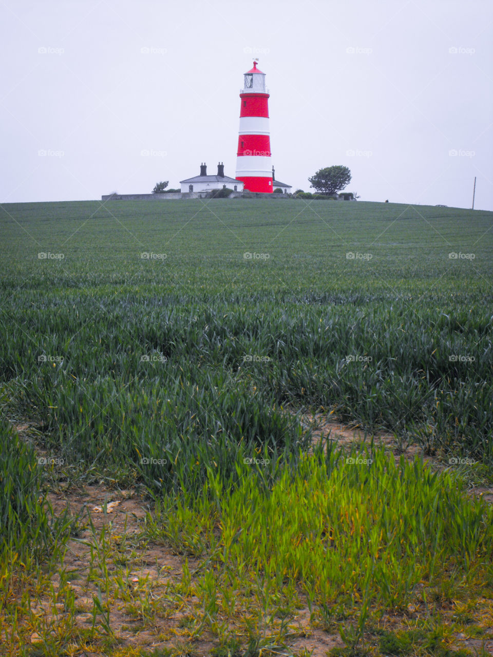 A white and red lighthouse surrounded by green fields