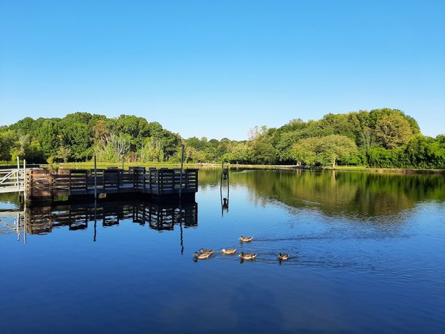 Lake.