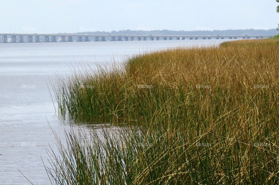 Waters edge view of the bridge