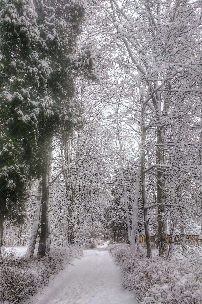 Winter time ❄️ Nature ❄️ Snow ❄️