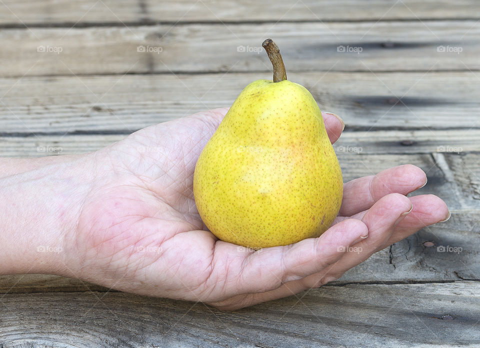 Ripe pear in human hand
