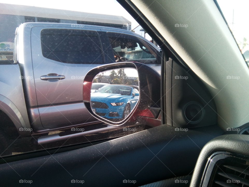 mustang on my mirror