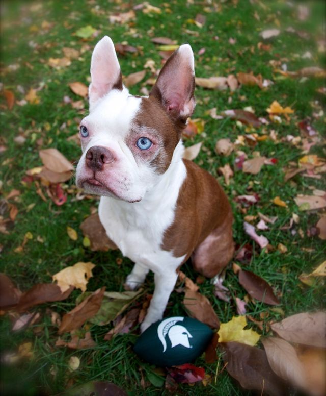 Are You Ready For Football